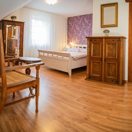 Primase 4*